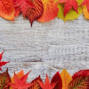 Meet your Posher, Avery